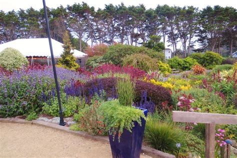 Mendocino Coast Botanical Gardens, Fort Bragg, CA | Rooftop garden, Mendocino coast, Botanical ...