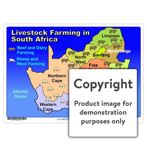 Livestock Farming in South Africa - Play School Room CC