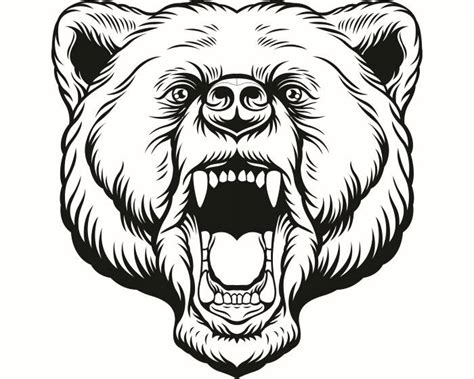 Grizzly Bear Face Drawing at GetDrawings | Free download