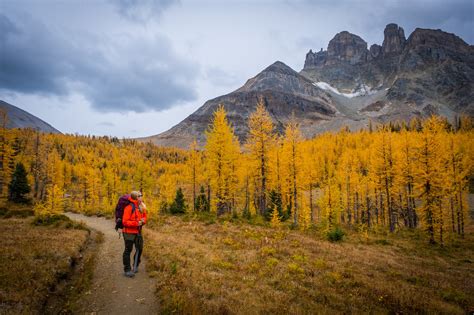 Mount Assiniboine Provincial Park Ultimate Hike Guide - The Banff Blog