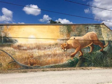 Florida Street Art: See The Incredible Lake Placid Murals • McCool Travel