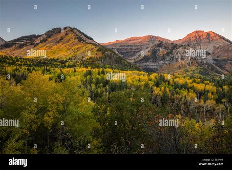 Fall color at sunrise, Mount Timpanogos, Wasatch Mountains, Utah Stock ...