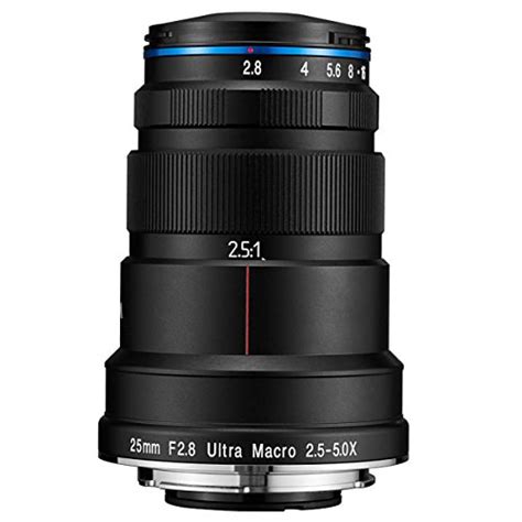 Best Macro Lenses for Sony in 2022 [6 Picks: E-Mount & Budget Options]