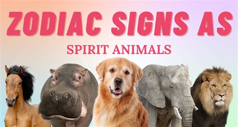 Spirit Animals of the Zodiac Signs | So Syncd