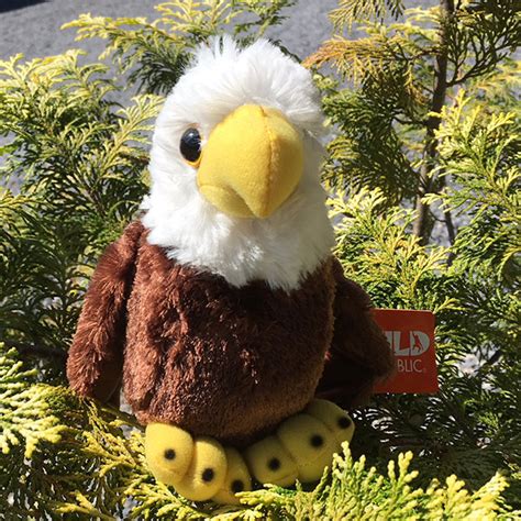 Bald Eagle Small Plush Toy | American Eagle Foundation