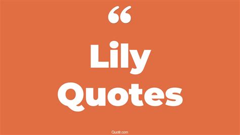 45+ Sentimental Lily Quotes That Will Unlock Your True Potential