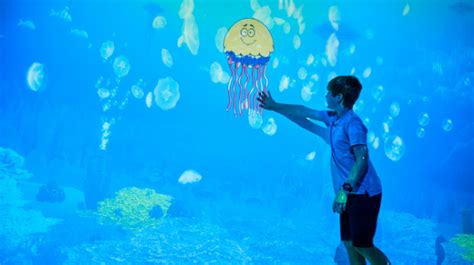 12 Must See Exhibits at SEA LIFE Melbourne Aquarium