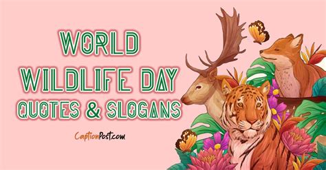 World Wildlife Day Quotes & Slogans - Captionpost