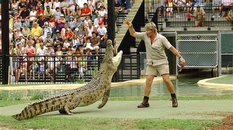 Enjoy an Unforgettable Day Out at Australia Zoo for Steve Irwin Day ...