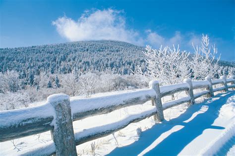 Nashville’s Record-Breaking Snowfall - Tennessee Home and Farm