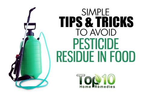 Simple Tips and Tricks to Avoid Pesticide Residue in Food | Top 10 Home ...