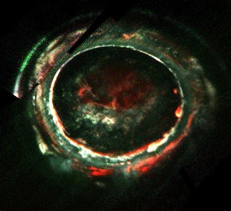 Jupiter's vividly glowing auroras have a mysterious power source - The Verge