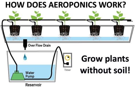 How To Build A Aeroponic System - Encycloall