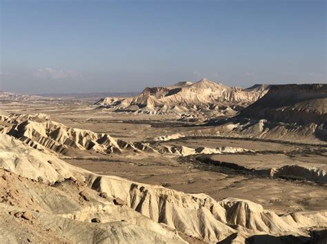 Birding Between Borders: Israel Birds, Nature & Culture - The ...