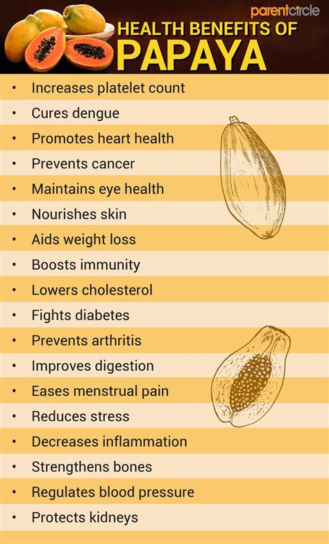 Papaya Health Benefits, Nutrition, Calories & Vitamins in Papaya, Uses of Papaya Fruits & Leaves ...