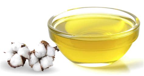 Cottonseed oil nutrition facts, uses - Is cottonseed oil healthy?