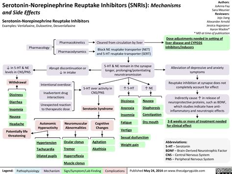 Serotonin-Norepinephrine Reuptake Inhibitors(SNRIs): Mechanisms and Side Effects | Calgary Guide