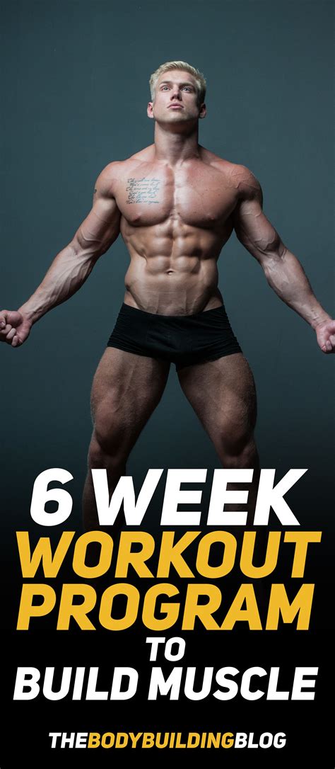 6 Week Workout Program To Build Muscle (With PDF) in 2020 | Workout ...