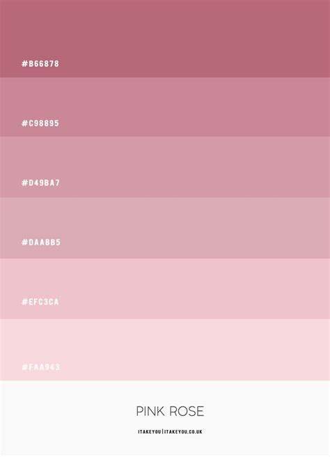 Pink Rose Colour Scheme #Colour Palette 67 | Color palette pink, Hex color palette, Color ...