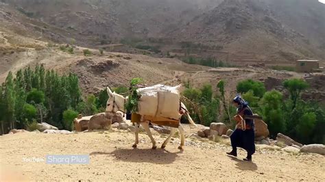 Afghan Village Life | Problems of a rural woman in Afghanistan - YouTube