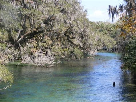 THE 15 BEST Things to Do in DeLand - UPDATED 2020 - Must See Attractions in DeLand, FL | TripAdvisor
