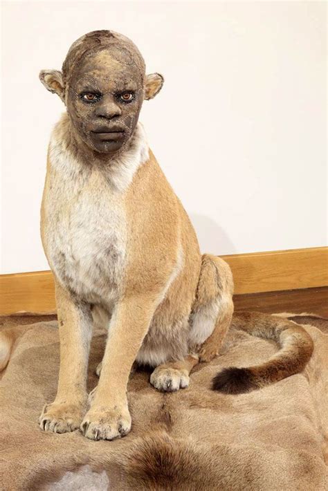 What The?! Human Taxidermy That Will Send Shivers Down Your Spine | Animals, Taxidermy ...