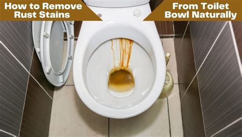 How to Remove Rust Stains from Toilet Bowl Naturally