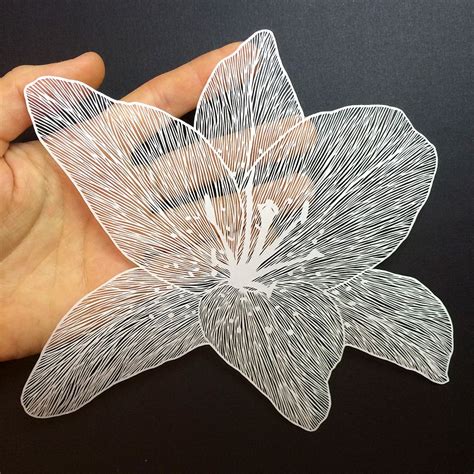 New Delicate Cut Paper Flowers by Maude White — Colossal | Papier découpé, Dentelle de papier ...