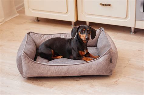 Indestructible Dog Bed With Removable Cover Modern Dog Bed - Etsy