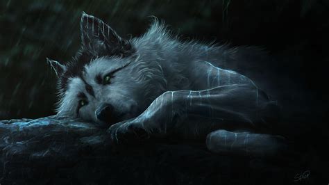 Wolf 3840X2160 Wallpapers - Top Free Wolf 3840X2160 Backgrounds ...