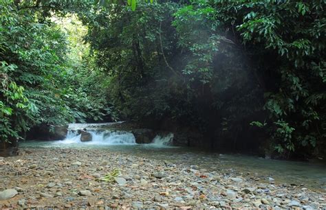 Sematong Express: Plans afoot to gazette headwaters of Baleh River, deep in the Heart of Borneo ...