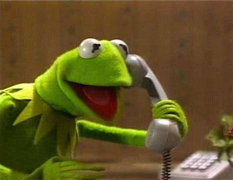 Kermit: Meme Template