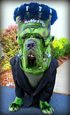 Fun Animals Wiki, Videos, Pictures, Stories: Scary Dog Costumes