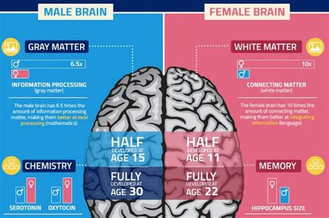 Male Brain vs Female Brain #BrainGain | Science projects, Education ...