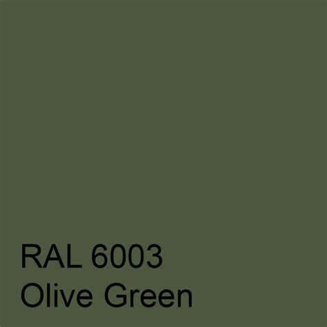 RAL 6003 - Olive Green | One Stop Colour Shop