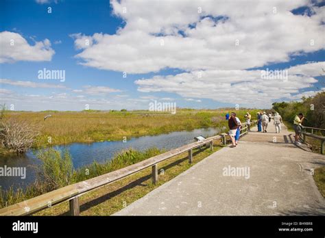 Anhinga Trail in the Everglades National Park in Florida Stock Photo - Alamy