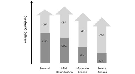 Effects of falling hemoglobin concentration on cerebral oxygen... | Download Scientific Diagram