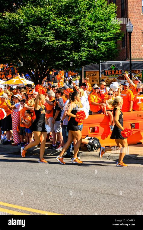 Cheerleaders of the University of Tennessee Volunteers football team at Neyland Stadium ...