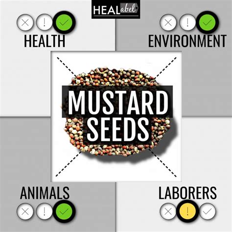 Top Mustard Seed Benefits + Side Effects