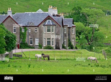 Manor Scotland estate with horses on pasture Glen Etive Highlands Scotland UK Stock Photo - Alamy