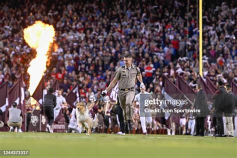 Aggie Mascot Photos and Premium High Res Pictures - Getty Images