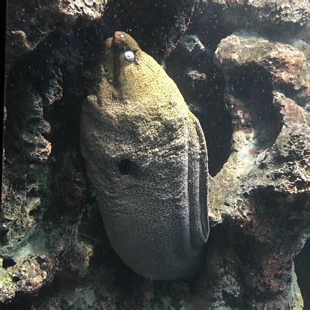 Phuket Aquarium - All You Need to Know Before You Go (with Photos) - TripAdvisor