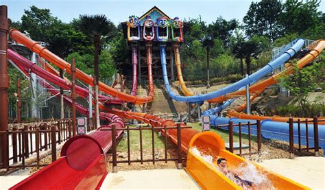 Caribbean Bay Water Park Korea Discount Ticket - Trazy, Korea's #1 ...