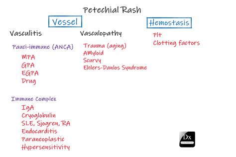 Petechial Rash – The Clinical Problem Solvers