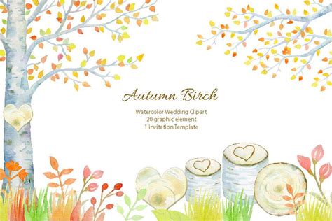 Wedding Clipart - Watercolor Autumn Birch Tree, Birch Tree In Fall ...