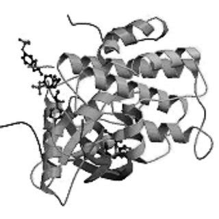 nsulin receptor structure (Wikipedia) (1) | Download Scientific Diagram