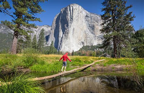 San Francisco to Yosemite National Park Guided Tour