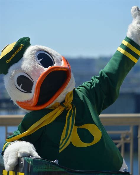 BEST MASCOT EVER - THE OREGON DUCK! | Oregon ducks, Oregon ducks ...