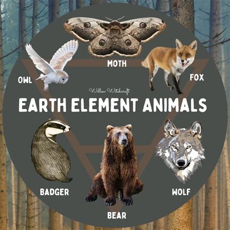 Enchanting Earth Element Animals for your inspiration