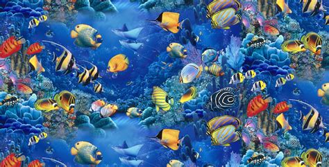 Ocean Animals Wallpapers - Wallpaper Cave